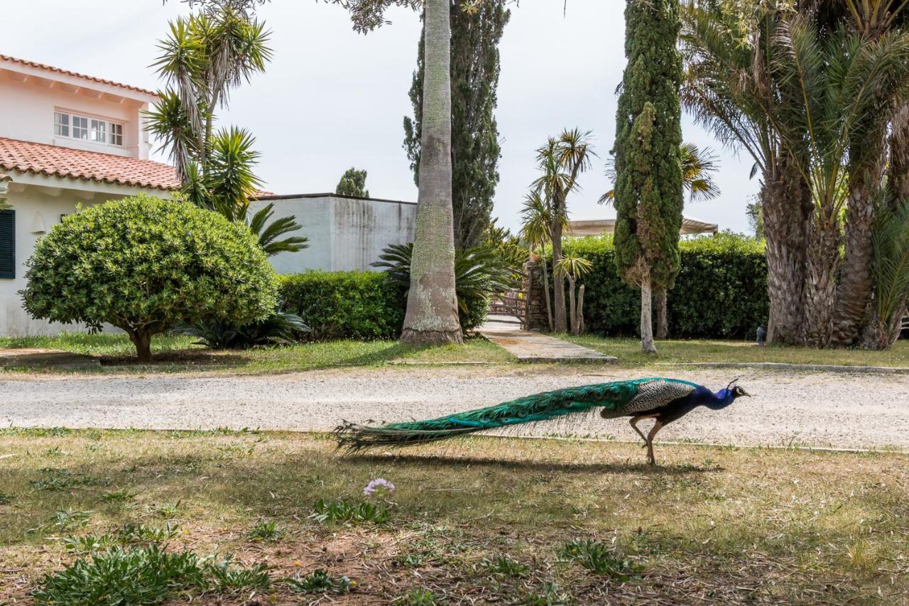 Finca Son Temet Es Mercadal Buitenkant foto