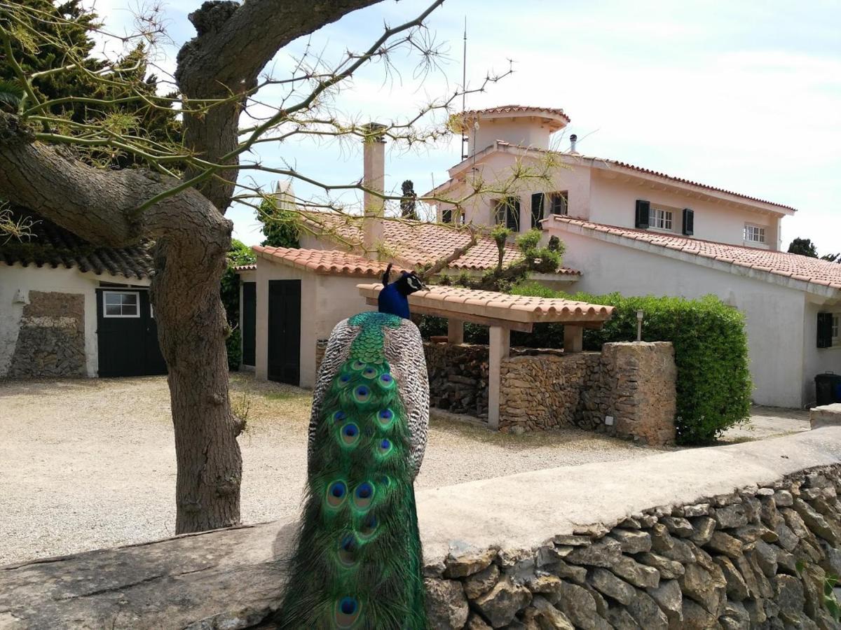 Finca Son Temet Es Mercadal Buitenkant foto